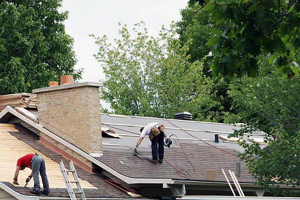 Best Local Roofing Companies  in West Point, UT